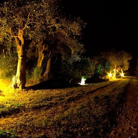 Alle Riserve Vendicari Casa Maccari ภายนอก รูปภาพ